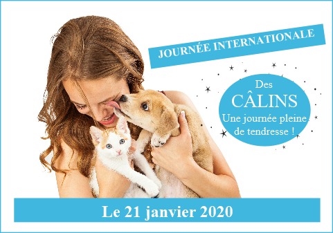 journee-internationale-des-calins-chien-chat